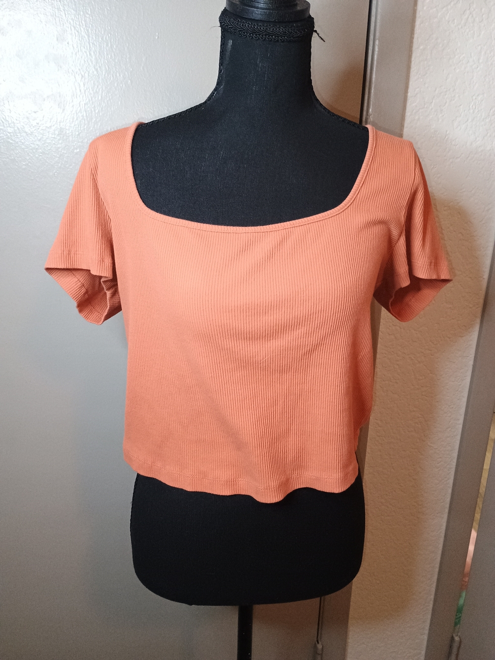 wild fable Ribbed Short Sleeve Crop Top in Orange Size XL